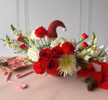 Cargar imagen en el visor de la galería, El Tesoro de Santa
