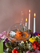 Cargar imagen en el visor de la galería, Encanta-vaso de Calabaza
